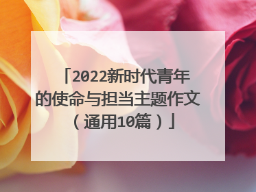 2022新时代青年的使命与担当主题作文（通用10篇）