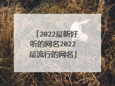 2022最新好听的网名2022最流行的网名