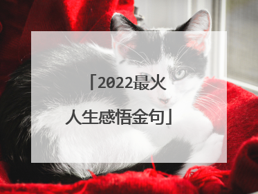 2022最火人生感悟金句