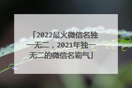 2022最火微信名独一无二，2021年独一无二的微信名霸气