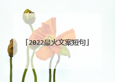 2022最火文案短句