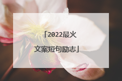 2022最火文案短句励志