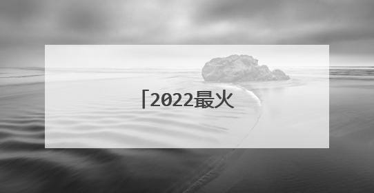 2022最火的个性签名