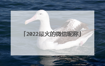 2022最火的微信昵称
