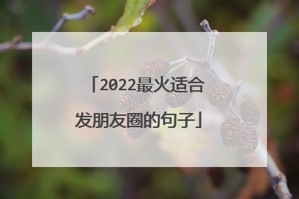 2022最火适合发朋友圈的句子