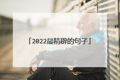 2022最精辟的句子