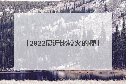 2022最近比较火的梗