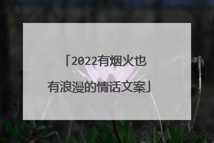 2022有烟火也有浪漫的情话文案