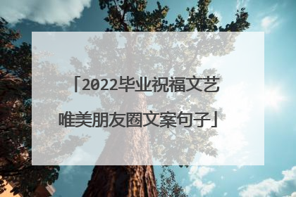 2022毕业祝福文艺唯美朋友圈文案句子