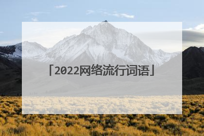 2022网络流行词语