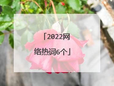 2022网络热词6个