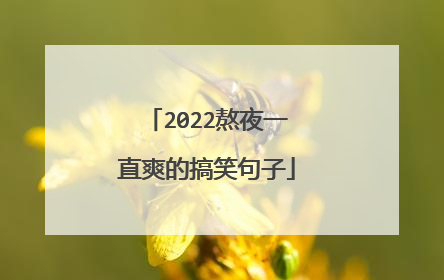 2022熬夜一直爽的搞笑句子