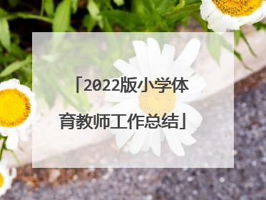 2022版小学体育教师工作总结