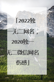 2022独一无二网名，2020独一无二微信网名伤感