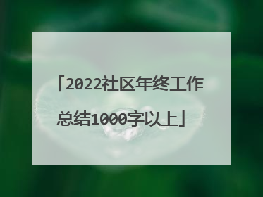 2022社区年终工作总结1000字以上
