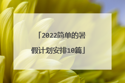 2022简单的暑假计划安排10篇