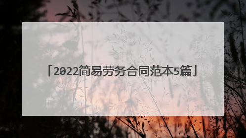2022简易劳务合同范本5篇