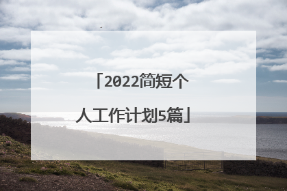 2022简短个人工作计划5篇