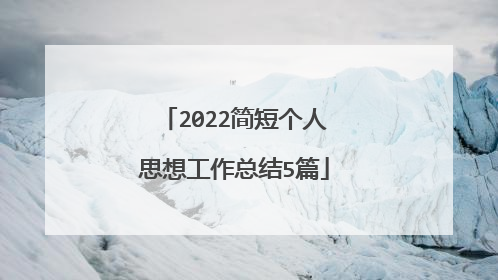 2022简短个人思想工作总结5篇