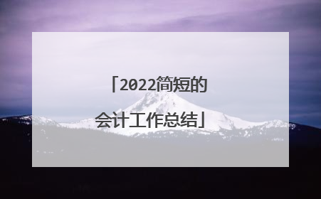 2022简短的会计工作总结