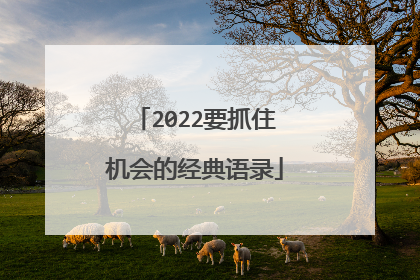 2022要抓住机会的经典语录