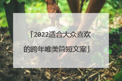 2022适合大众喜欢的跨年唯美简短文案