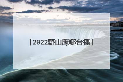 《野山鷹》是原石文化傳媒股份有限公司,貴州電視文化傳媒有限公司