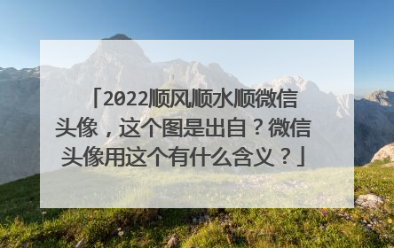 2022顺风顺水顺微信头像,这个图是出自?微信头像用这个有什么含义?
