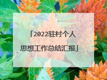 2022驻村个人思想工作总结汇报