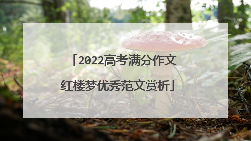 2022高考满分作文红楼梦优秀范文赏析