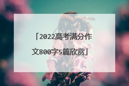 2022高考满分作文800字5篇欣赏