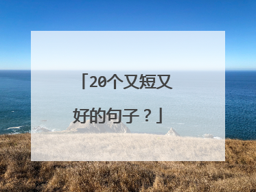20个又短又好的句子?