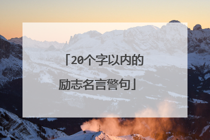 20个字以内的励志名言警句