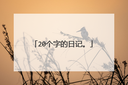 20个字的日记。