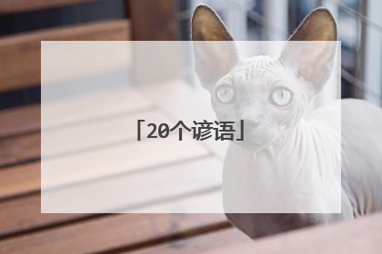 20个谚语