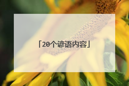 20个谚语内容