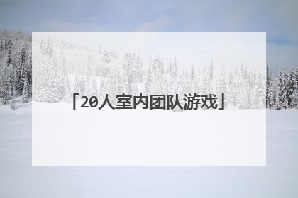 20人室内团队游戏