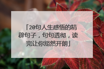 20句人生感悟的精辟句子,句句透彻,读完让你豁然开朗