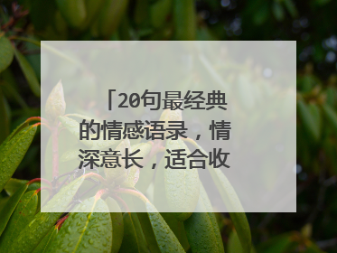 20句最经典的情感语录，情深意长，适合收藏下来慢慢看
