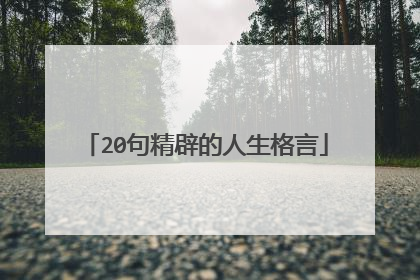 20句精辟的人生格言