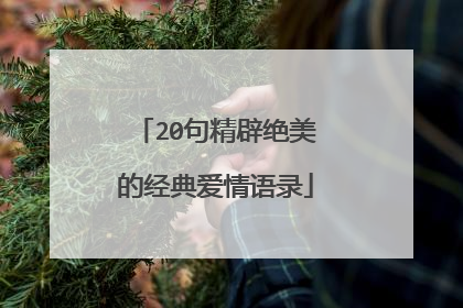 20句精辟绝美的经典爱情语录