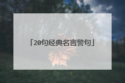 20句经典名言警句