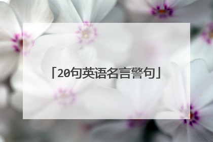 20句英语名言警句