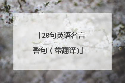 20句英语名言警句（带翻译)