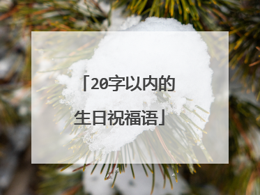 20字以内的生日祝福语