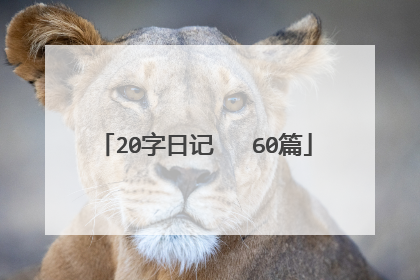 20字日记   60篇