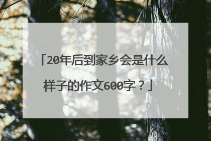 20年后到家乡会是什么样子的作文600字？