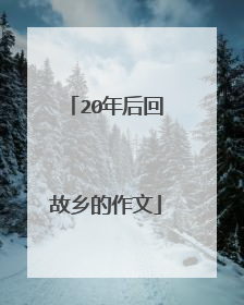 20年后回故乡的作文