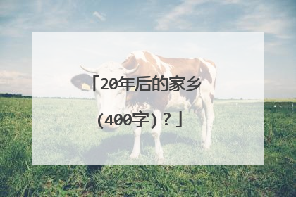 20年后的家乡(400字)？