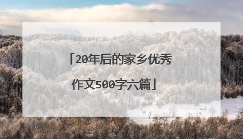 20年后的家乡优秀作文500字六篇